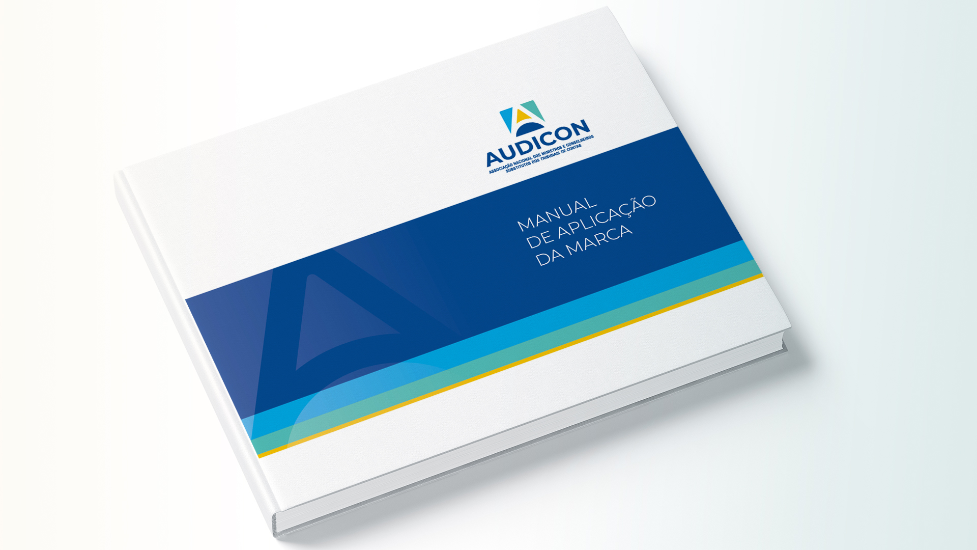 Manual de aplicação da marca Audicon